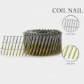 Professional High Quality Steel Cap Nails with Nice Price